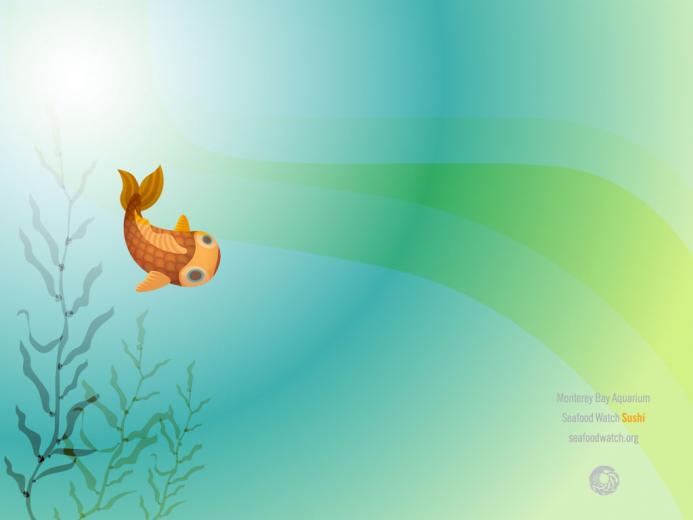 Free download FLY FISHING WALLPAPER BORDER 13C15 7022 249B