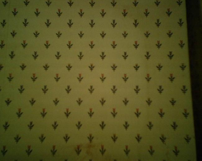 Free download Stuck with Old Wallpaper Paint Over It Miller Hobbs Group