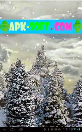 Free download Apk Degrees Forest HD Live Wallpaper v14 Apk Download