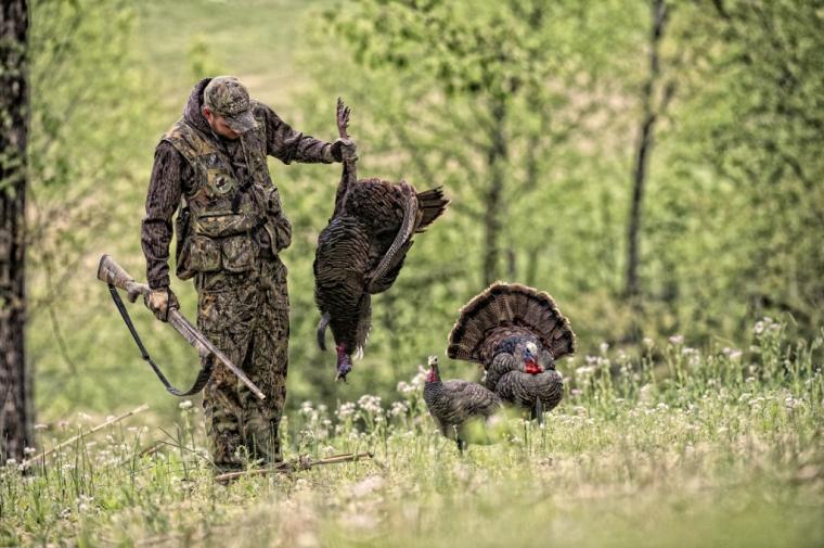 Free download spring turkey hunting wallpaper wild turkey hunting
