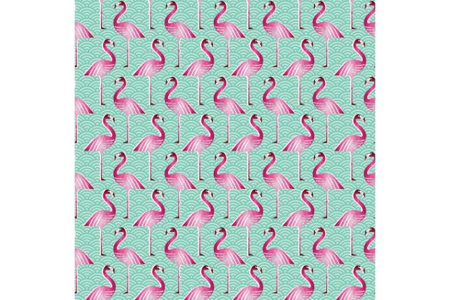 [46+] Pink Flamingo Wallpaper on WallpaperSafari