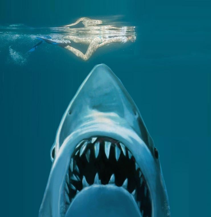 Free download Jaws Wallpapers [1366x768] for your Desktop, Mobile ...