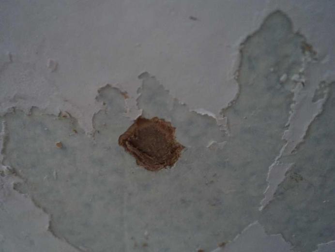 Free download Painting Over Wallpaper Glue Be Sure to Do This First