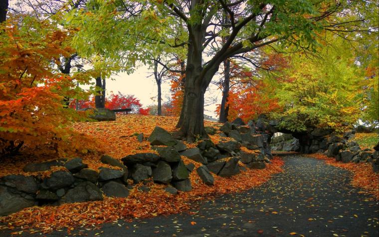 🔥 [90+] Fall HD Widescreen Wallpapers | WallpaperSafari