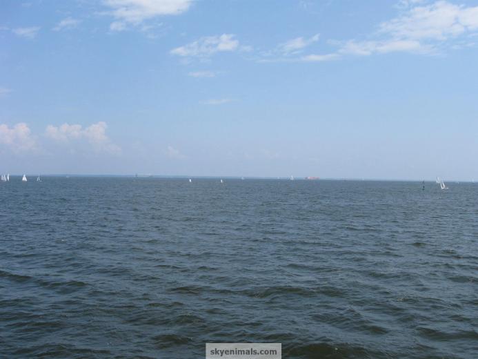 Free download Chesapeake Bay Wallpaper [616x462] for your Desktop