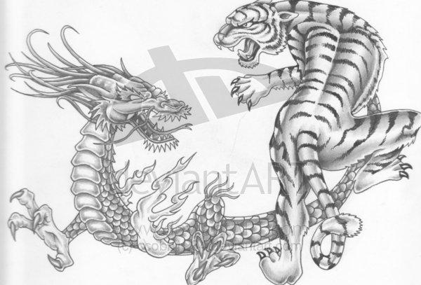 Free download Dragon vs Tiger by Purpleground02 [1219x655] for your