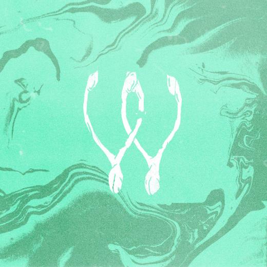 🔥 [40+] Wishbone Wallpapers | WallpaperSafari