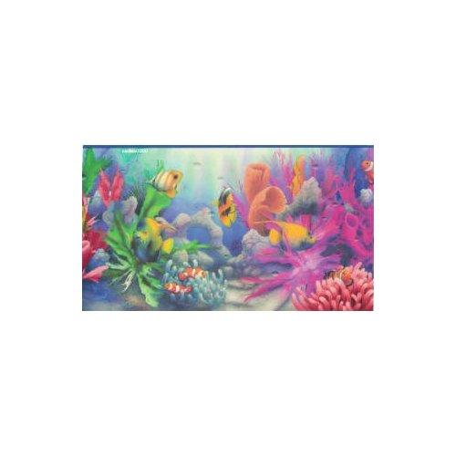 Free download Tropical Fish Wallpaper Border 6 7 8 eBay [800x311] for