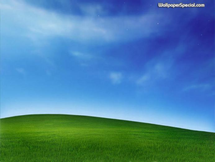 Free download windows xp bliss wallpaper location [1510x1000] for your