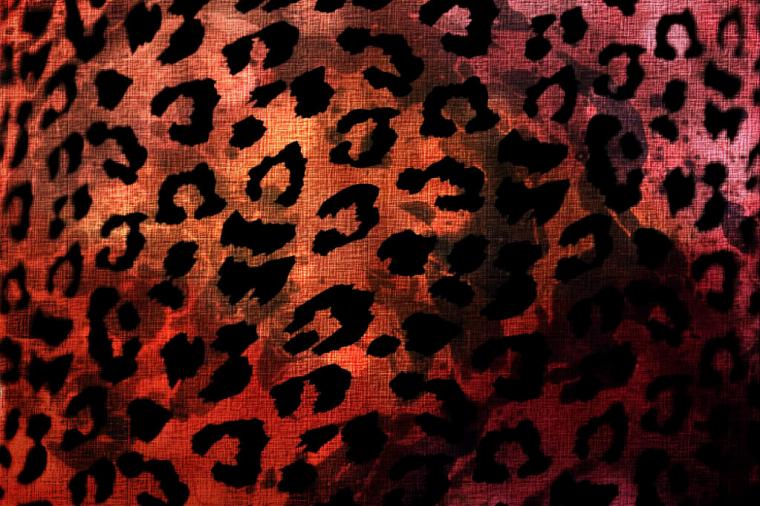 Free download Group of blue cheetah print wallpaper We Heart It