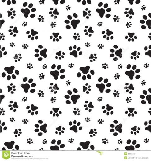 🔥 [40+] Dog Paws Wallpapers | WallpaperSafari