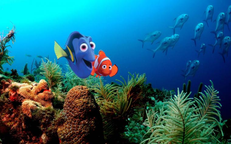 Free download Dory Finding Nemo Wallpaper Pin it [1600x1200] for your ...