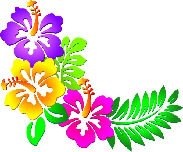 Free download blue and purple hawaiian flowers Facebook Timeline Cover ...