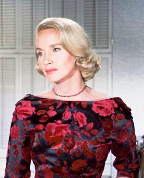 🔥 Free Download Eva Marie Saint Hd Desktop Wallpaper by @vkelley