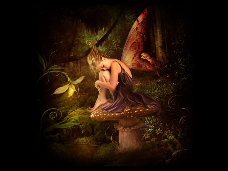 🔥 [150+] Fantasy Fairies Wallpapers | WallpaperSafari