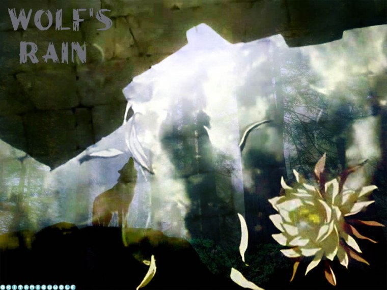 🔥 [40+] Wolf S Rain Wallpapers | WallpaperSafari
