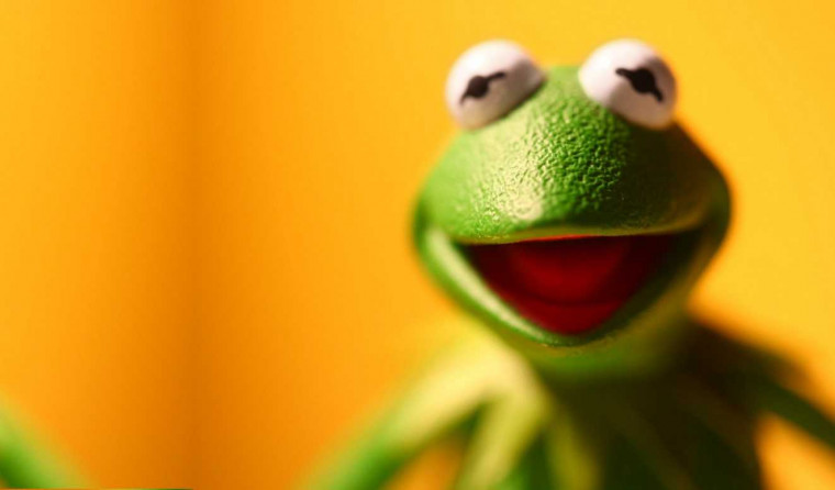 🔥 [70+] Kermit The Frog Wallpapers | WallpaperSafari