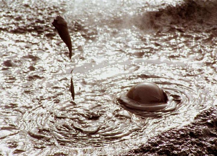 Free download Renovation Wallpaper Removal Drywall Mud Used as Spackle