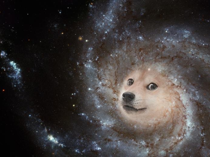 [48+] Doge Space Wallpaper on WallpaperSafari