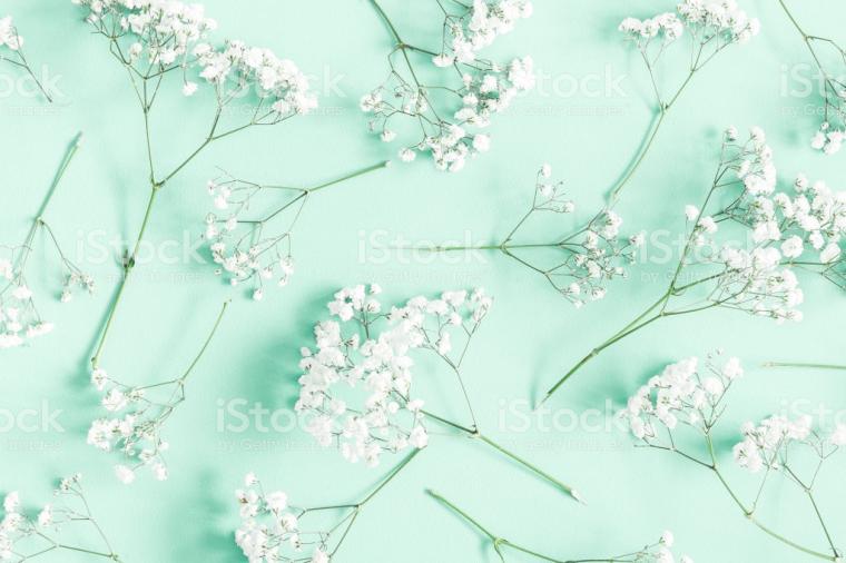 Free download 2560x1440 Mint Solid Color Background [2560x1440] for