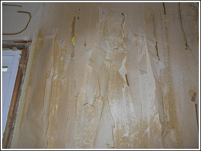 Free download Zinsser 2976 Papertiger Scoring Tool for Wallpaper