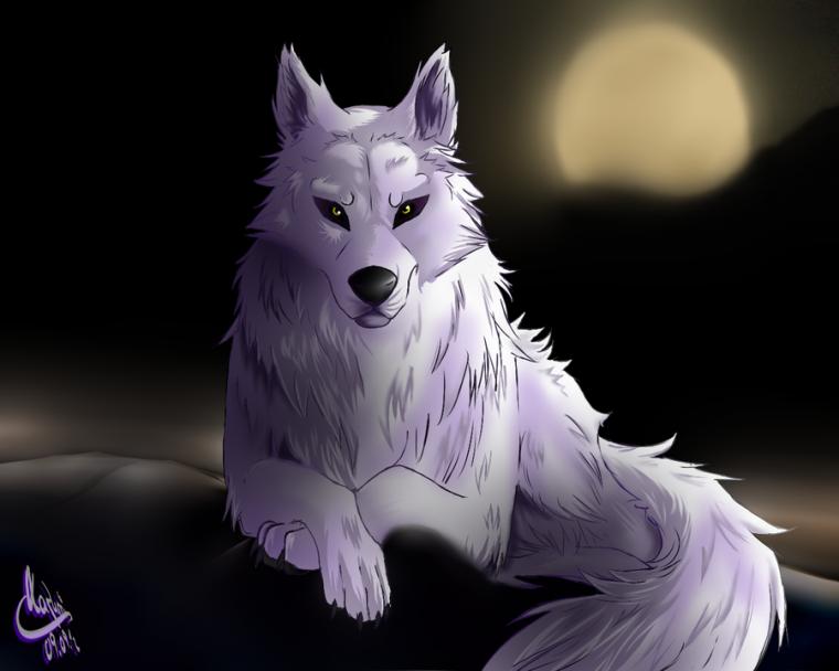 anime wolf background