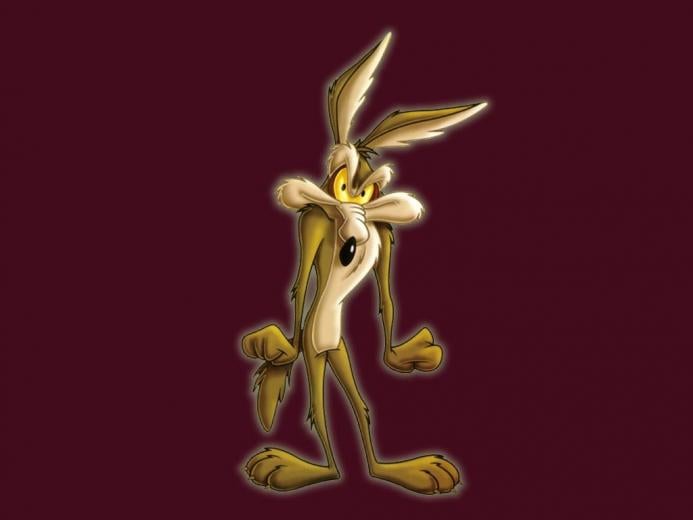 🔥 [50+] Wile E Coyote Wallpapers | WallpaperSafari