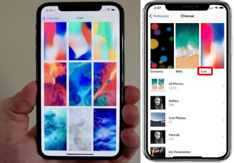 Free download Convert TikTok Videos to Live Wallpapers for a More Animated Home [1125x2436] for