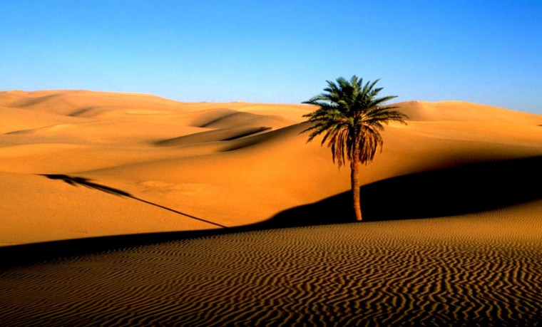 Free Download Desert Wallpaper High Definition Pc HD Wallpapers Desktop Free Download Desert Wallpaper High Definition Pc HD Wallpapers Desktop