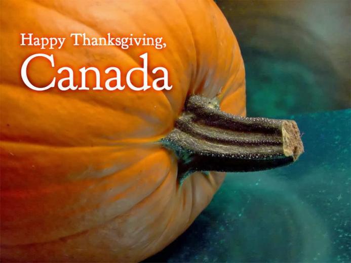 free-download-hallmark-calendar-wallpaper-500x372-for-your-desktop