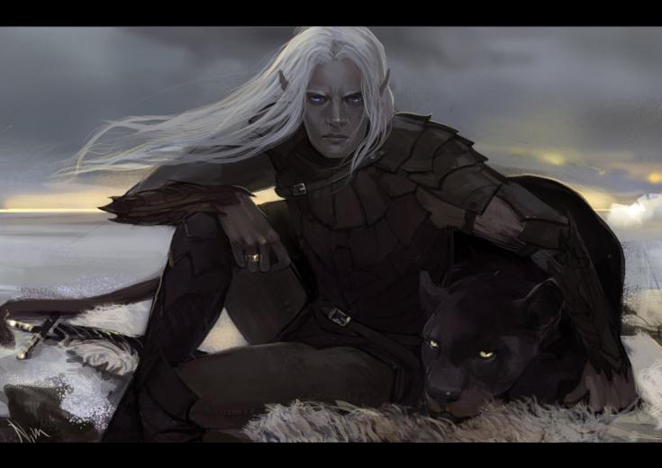 Free download Image gallery for drizzt dourden wallpaper [639x605] for ...