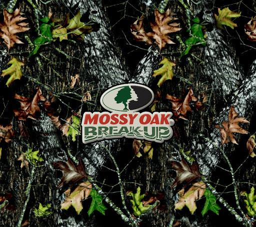 Free download Mossy Oak Camo Picture [768x512] for your Desktop, Mobile ...