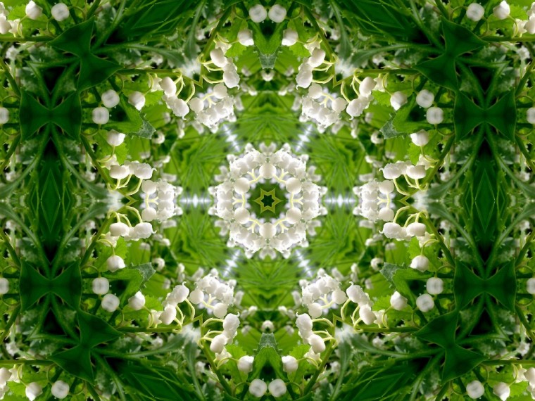 Free Download Desktop Wallpapers Full Size Desktop Wallpapers Full Size