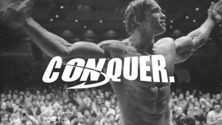 [48+] Arnold Schwarzenegger Conquer Wallpaper on WallpaperSafari