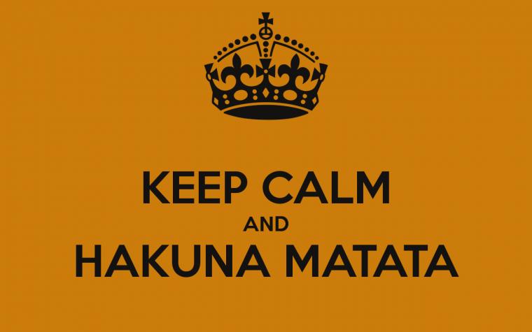 Free download Hakuna matata pumba the lion king timon wallpaper 141326