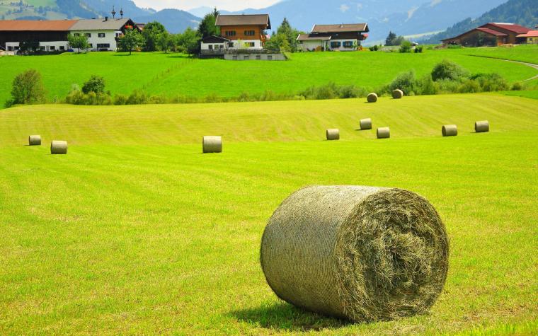 Free download Hay bale on the field wallpaper 11319 [1920x1080] for
