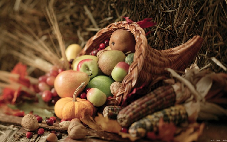 Free download Thanksgiving Wallpapers Thanksgiving Desktop Themes