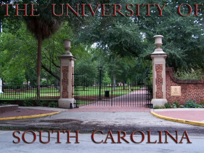 Free download The University of South Carolina wallpaper CockyTalk