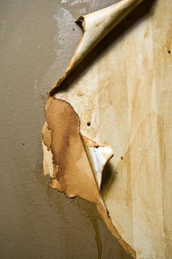 Free Download Repairing Drywall After Removing Wallpaper DoItYourselfcom 338x600 For Your 