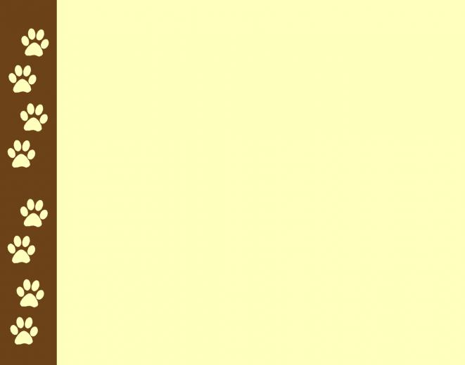 Free download Home Vintage Borders Animal Print Wallpaper Border B30017