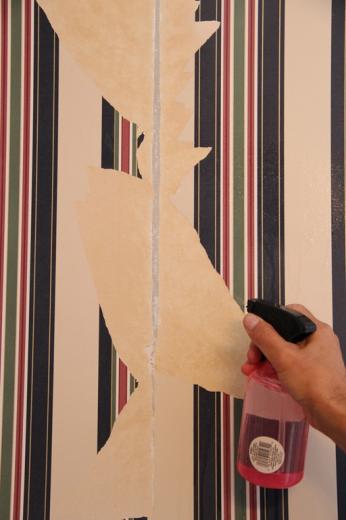Free Download How To Remove Wallpaper Like A Pro 512x768 For Your 