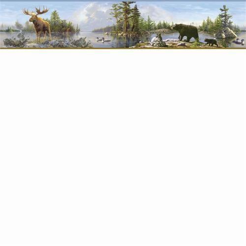 Free download Black Bear 35 Desktop Wallpaper [2576x1932] for your