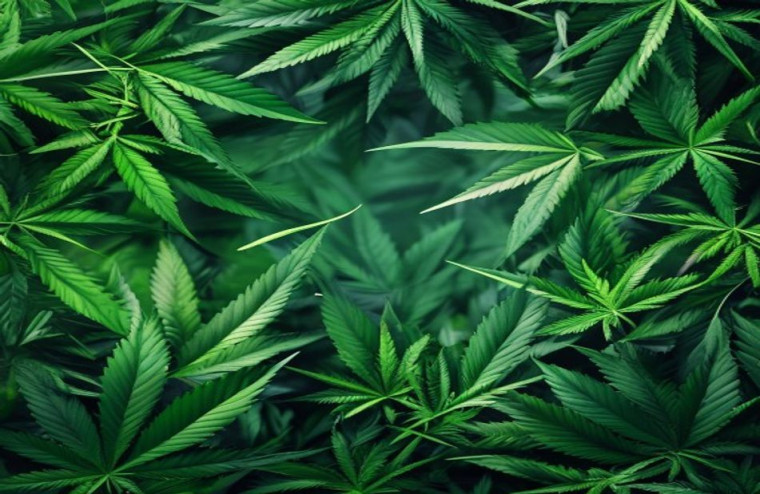 HD Weed AI Wallpaper 1080p