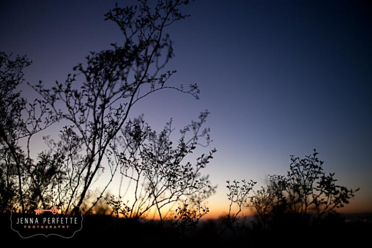 Free download phoenix arizona desktop wallpaper