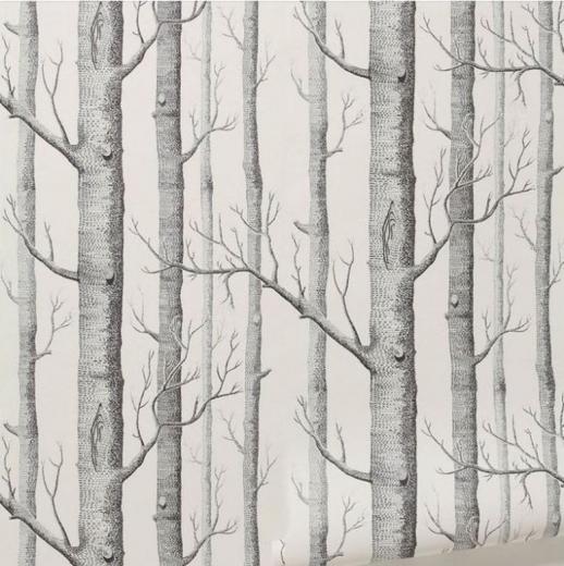 Free download Birch Trees Wallpaper Joy Studio Design Gallery Best