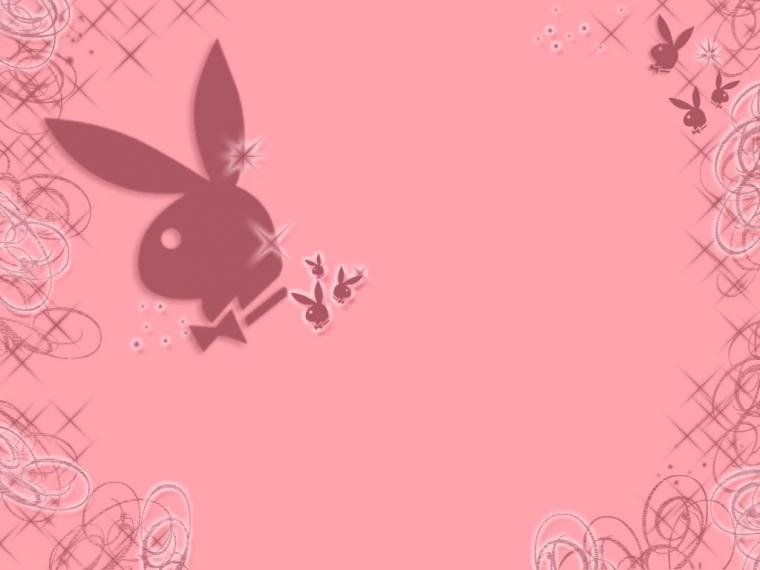 Free download Pin Playboy Bunny Logo Wallpapers [1024x768