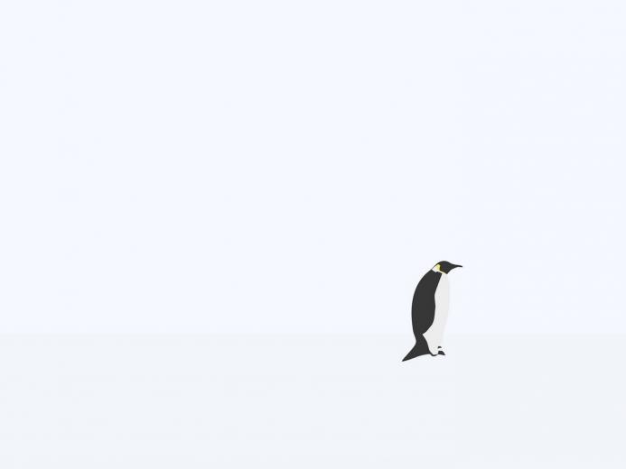 🔥 [40+] Minimalist Penguin Wallpapers | WallpaperSafari