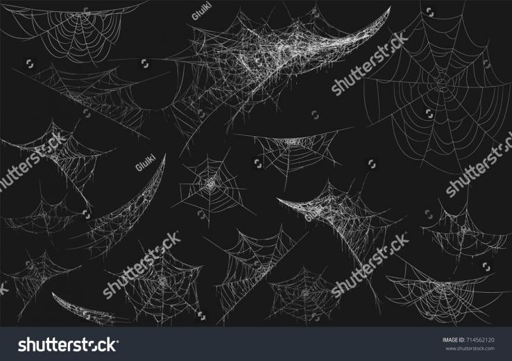 🔥 [10+] Cobweb Backgrounds | WallpaperSafari