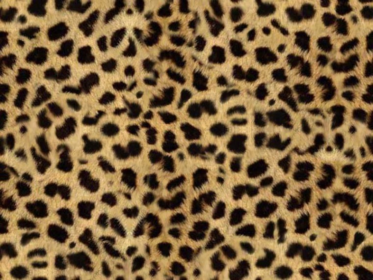 Free download Leopard print background Color Wild Pinterest [525x800 ...