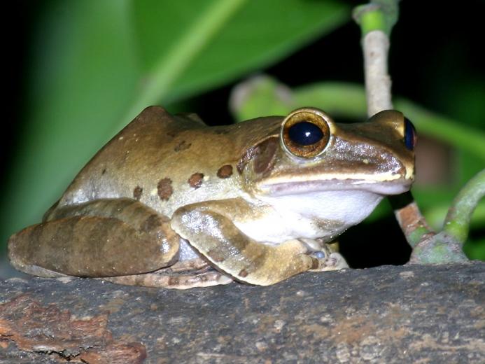 Free download get wallpaper samples wwwhigh definition